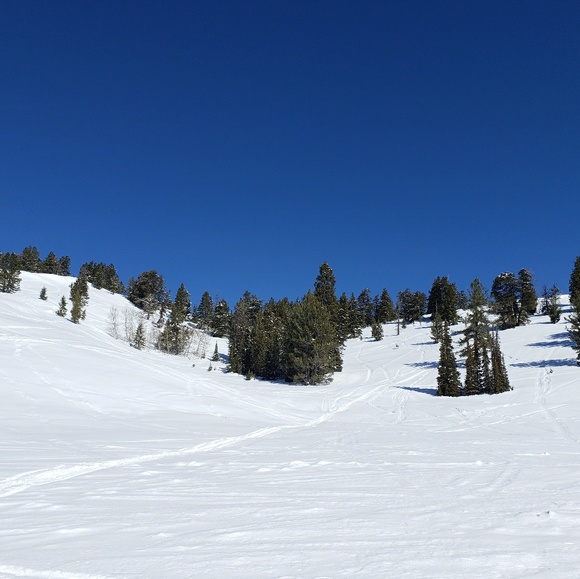 Meet your Posher, Stephanie - Picture 1 of 1